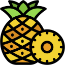 piña icon