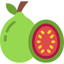 guayaba icon