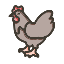 pollo