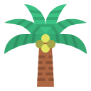 Árbol de coco icon