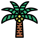 Árbol de coco icon