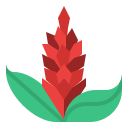 flor tropical icon