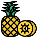 piña icon