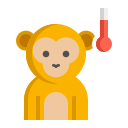 singe 