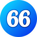 66