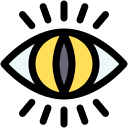 ojo icon