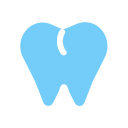 premolar icon