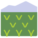 campo de arroz icon