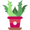 aloe vera icon