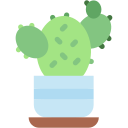 cactus icon