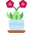 kalanchoe icon