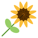 girasol icon