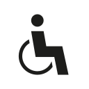 accesible icon