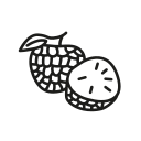 fruit 