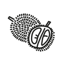 fruit icon