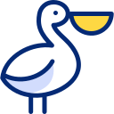 Pelican 