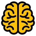 cerebro humano icon