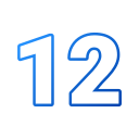 12 icon