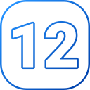 12 icon