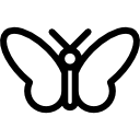 buttterfly icon