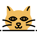 gato negro icon