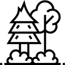 лес 