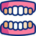 dentadura icon