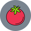 tomate icon