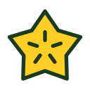 fruta estrella icon