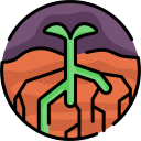 Sprout icon