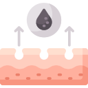 exfoliación icon