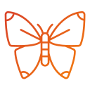 mariposa icon