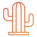 cactus icon