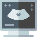 ecocardiografía icon