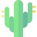 cactus icon