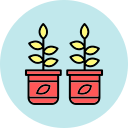 plantas icon