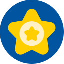 insignia de estrella icon