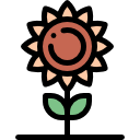 girasol icon