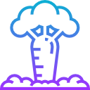 baobab icon