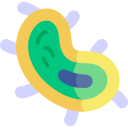 bacterias icon