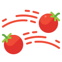 tomatina icon