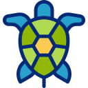 tortuga icon