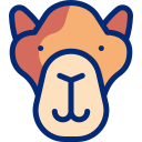 camello icon