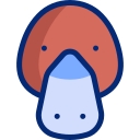 ornitorrinco icon