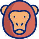 gorila icon