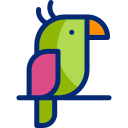 loro animated icon