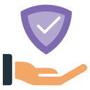 seguridad icon