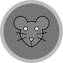 ratón