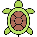 tortuga