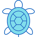 tortuga